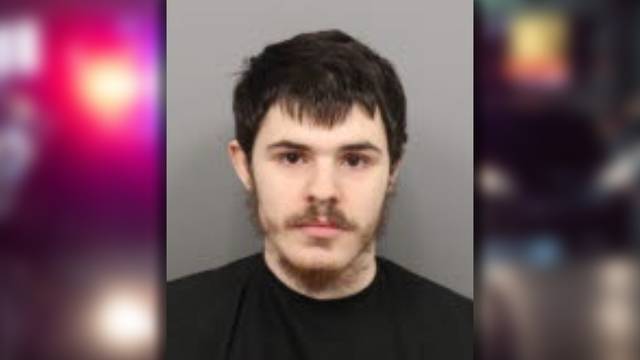 SC: Greenville man accused of distributing child abuse material