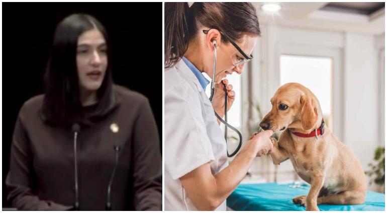 Propone Paloma Domínguez deducir impuestos a gastos veterinarios