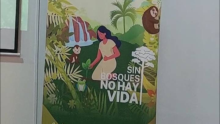 Tarapoto: Campaña “Sin bosques no hay vida” promueve la conservación de los bosques tropicales