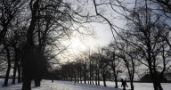Eight counties in England set for snow with 2cm arriving every hour