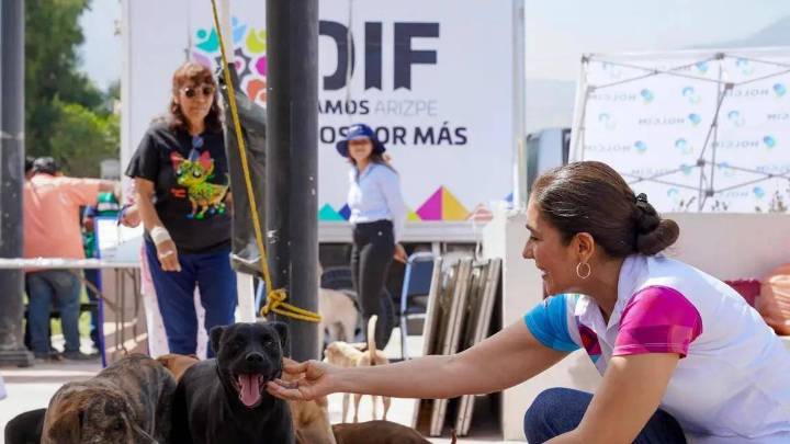 Ramos Arizpe realizará jornada gratuita de esterilización para perros y gatos
