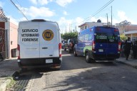 Maltrato animal en Mérida: rescatan a perro herido con perdigones en Plan de Ayala Norte