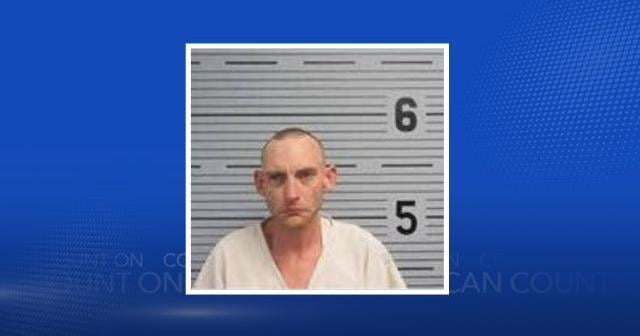 Flat Rock man with criminal history caught with guns, arrested on multiple charges