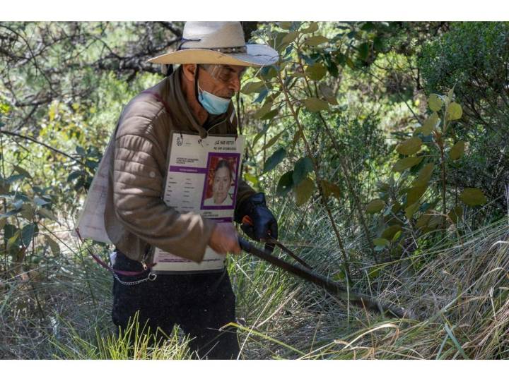 Families search Mexican forest for remains of over 100 missing