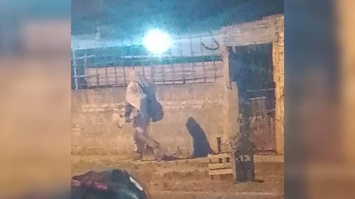 Así fue la caída del detenido por el femicidio de barrio Loyola: un llamado al 911 y otro intento de fuga