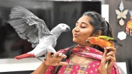 Birds Call Her 'Amma' & Dogs Guard Her: Khammam Woman Who Chose To Live Amidst Furs & Feathers