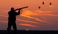 New South Zone Added to Illinois Waterfowl Map