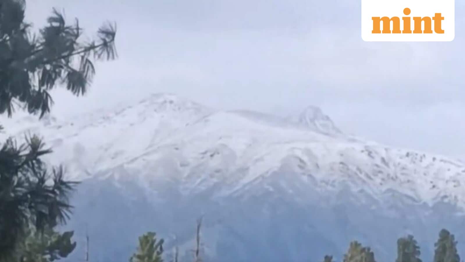 Video: Gulmarg in J&K receives season's first snowfall
