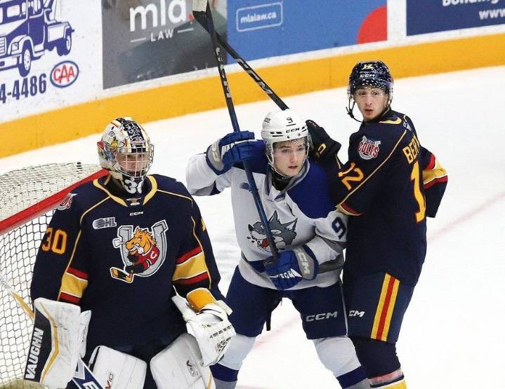 Sudbury Wolves vs. Barrie Colts: live blog tonight