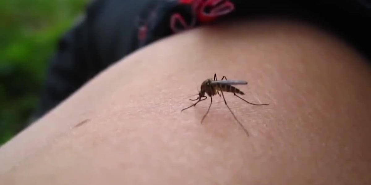 Safety Alert: West Nile Virus kills 3 Missourians, continues to spread