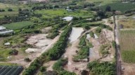 Incrementan las Invasiones en el Bosque La Primavera en Jalisco; Esto se Sabe