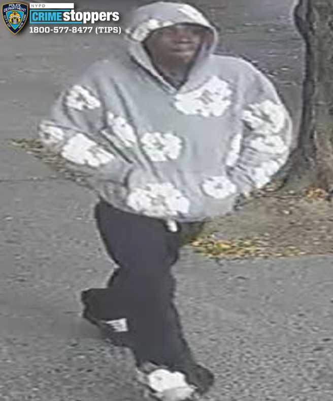 Gunman sought after shots fired on Alabama Avenue in early morning assault