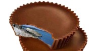Check your Halloween candy for derelict vessels, jokes Department of Natural Resources