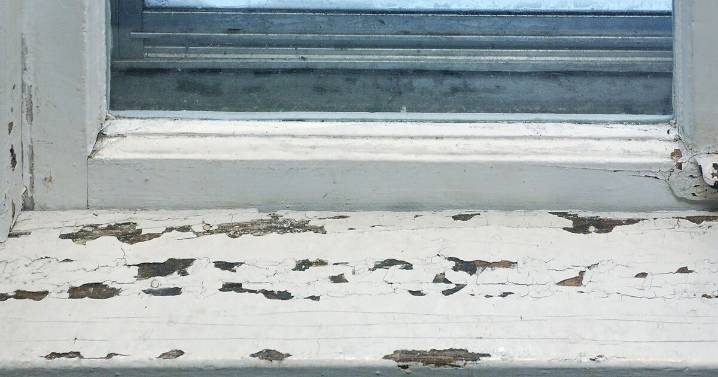Maryland inspector pleads guilty to falsifying lead paint certificates
