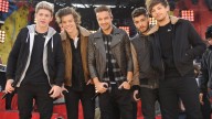 Louis Tomlinson on the Possibility of a One Direction Reunion