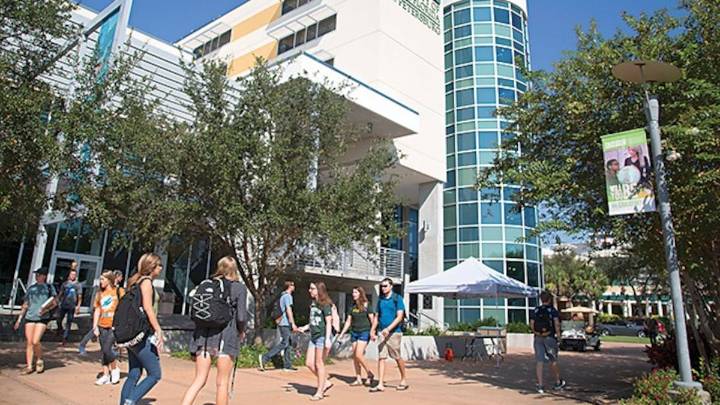 USF St. Petersburg regional chancellor named president of Texas university
