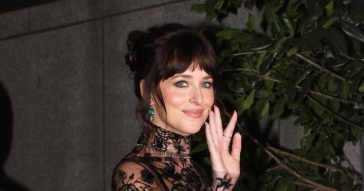 El look de Dakota Johnson para la boda de su hermana Stella Banderas