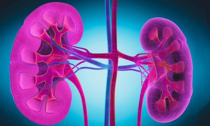 FDA Approves Obinutuzumab for Active Lupus Nephritis