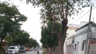 La Municipalidad de Santa Fe recibió 42 reclamos relacionados con las lluvias