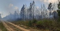 Wildfire south of Jasper was difficult to reach for firefighters