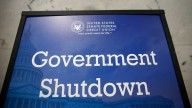 These companies get a bulk of their revenues from the government