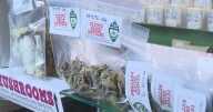 New clinical trial in Ontario uses magic mushrooms to treat anxiety