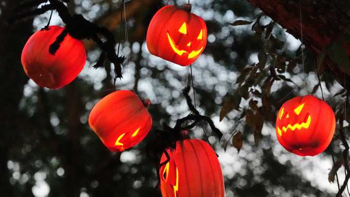 Florida ranks among top 10 most haunted states in the U.S. on this list