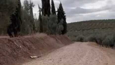 Isabel Uceda desmiente que el arreglo del Camino la Pasá de Arjona esté ligado a la planta de biometano