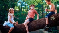 Es una de las películas favoritas de Stephen King y está en Netflix: un relato tierno y conmovedor