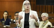 Number of temporary worker applications falls as fines rise, government says
