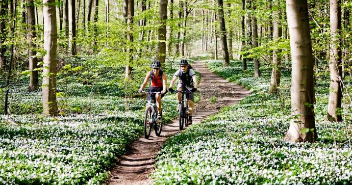 Farmers Say Bike Ride Raises Biosecurity, Trespassing Concerns