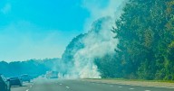 Raleigh fire department investigates brush fire near I