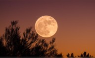 Superluna del 6 de octubre: a qué hora y en dónde se podrá ver la luna llena más grande y brillante