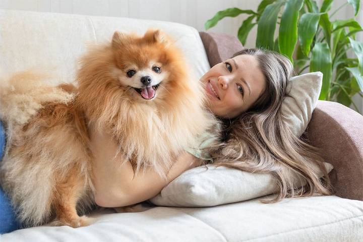 11 Fluffy Dog Breeds You Can Cuddle Like Stuffed Animals