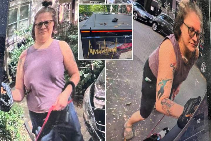 Woman caught smearing dog poop on Trump-themed Cybertruck in Chicago