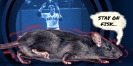 Carlton Fisk home run rat story