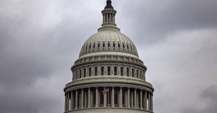 Gephardt: The power of the purse belongs to Congress, not the president