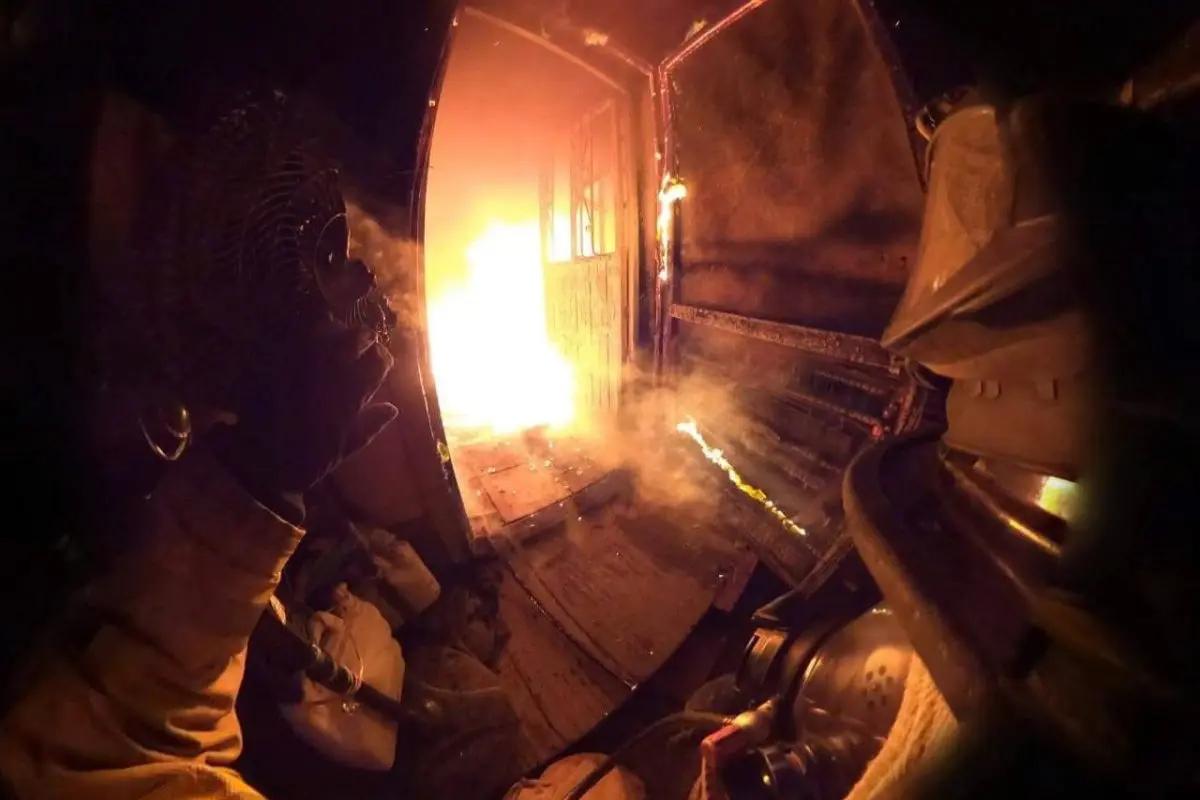Perros y gatos mueren en incendio en Nayarit