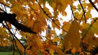 Where is fall foliage peaking in late October? See US map