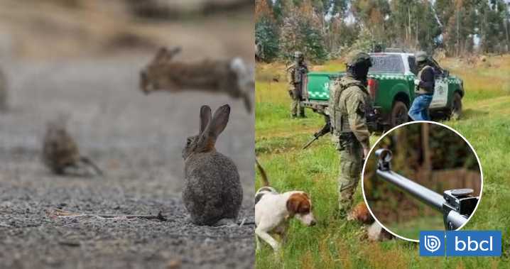 Asalto a cazadores en Ercilla: APRA califica de "amenaza" leyenda con su nombre hallada en el sitio