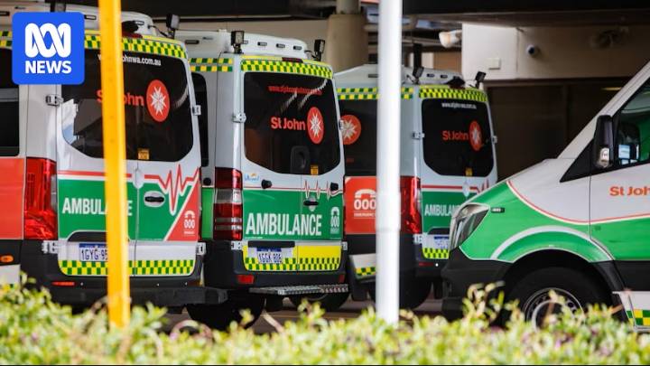 South West paramedic sentenced for stealing fentanyl, replacing vials with saline