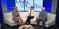 Madison Fire Dept. forms new partnership with animal therapy nonprofit
