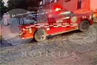 Hombre muere tras múltiples picaduras de abejas en Puerto Vallarta