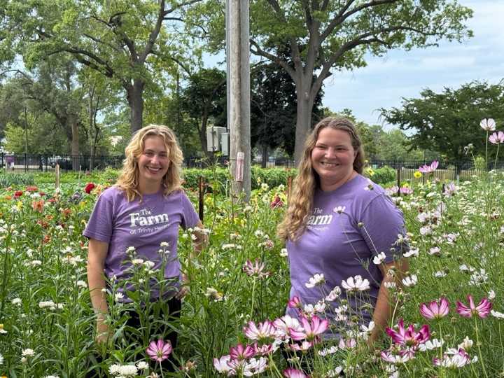 Medicaid patients in Muskegon receiving ‘produce prescriptions’ from urban farm