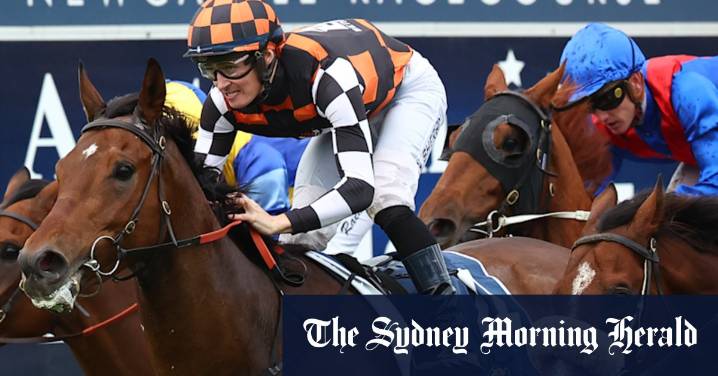 Race-by-race preview and tips for Newcastle on Thursday