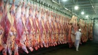 EEUU confirma que comprará poca carne argentina y alerta por la fiebre aftosa
