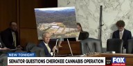 Senator questions Cherokee cannabis operation