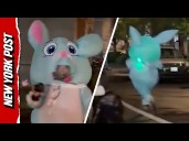Portland ICE Protester in Bunny Costume SPRINTS From Police to Evade Arrest