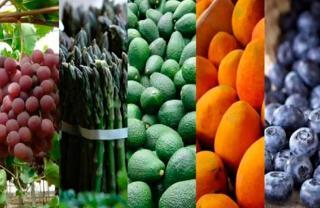 Exportaciones peruanas alcanzaron valor histórico de US$ 8,729 millones en agosto