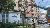 Un árbol pierde estabilidad en la calle Cabestany de Huesca tras romper una tubería con sus raíces
